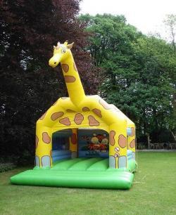 Giraffe luchtkussen € 125,-