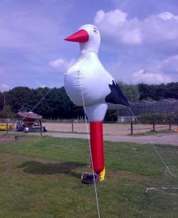 Ooievaar € 80,- per week