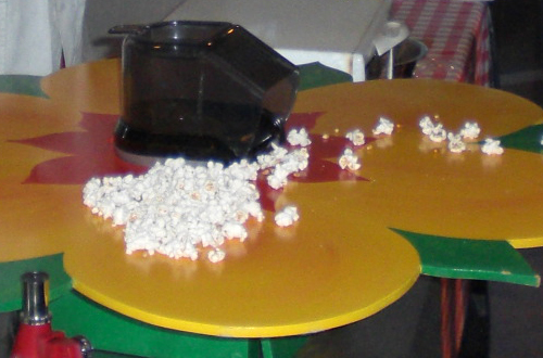 Popcorn bloem € 65.-